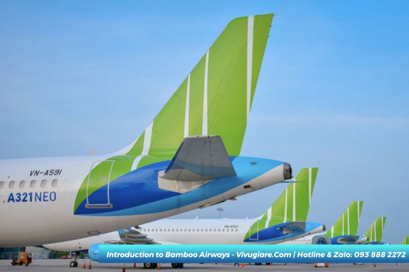 Introduction to Bamboo Airways
